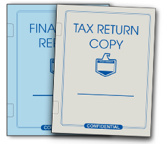 Economy Tax Folders