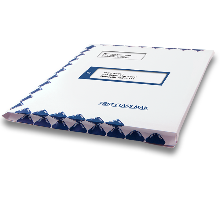 Image for item #07-660: ProTax Envelope: 10 x 13 1" EXPANSION Peel & Seal