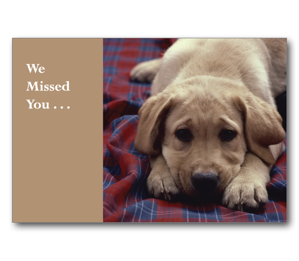 Image for item #70-561: We Missed You Puppy Postcard (25/Pack)