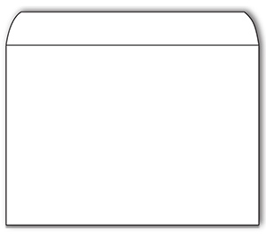 Image for item #01-300: 24 LB. 6X9 Envelope (BLANK)  (50/pack) - Item: #01-300