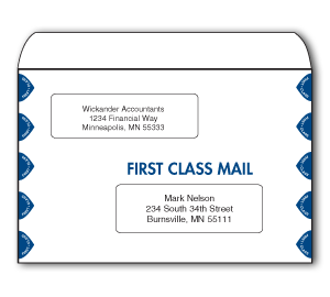 Image for item #07-410: InTax Envelope: 6x9 Peel & Seal OS Dual Window