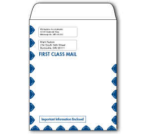 Image for item #07-420: InTax Envelope: Portrait Dual Window 1st Class