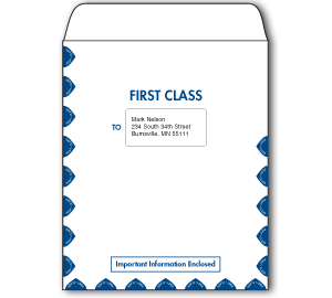 Image for item #07-450: InTax Envelope: 1st Class Organizer Single Window