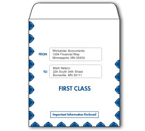 Image for item #07-620: ProTax Envelope: Universal Portrait center cut - Item: #07-620