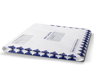 Image for item #07-760: MultiTax Envelope: 10 x 13 1" EXPANSION Peel & Seal - Item: #07-760
