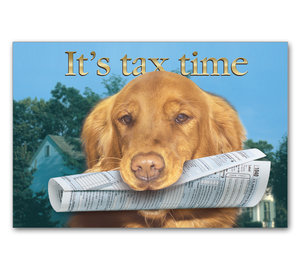 Image for item #70-564: Retreiver Form: It's Tax Time postcard (25/pack) - Item: #70-564