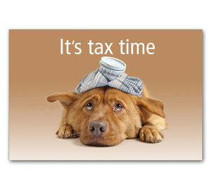 Image for item #70-565: 1040 Dog: It's tax time postcard (25/pack)